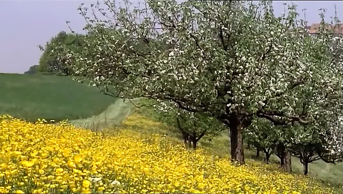 Celý Film Z Roku 1977 Se Sandrou Novou A Jejími Přáteli