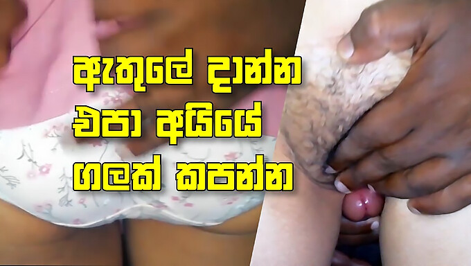 Cô Gái Sri Lankan Desi Bị Đụ Chân Và Đưa Một Con Cặc Lớn Vào Miệng