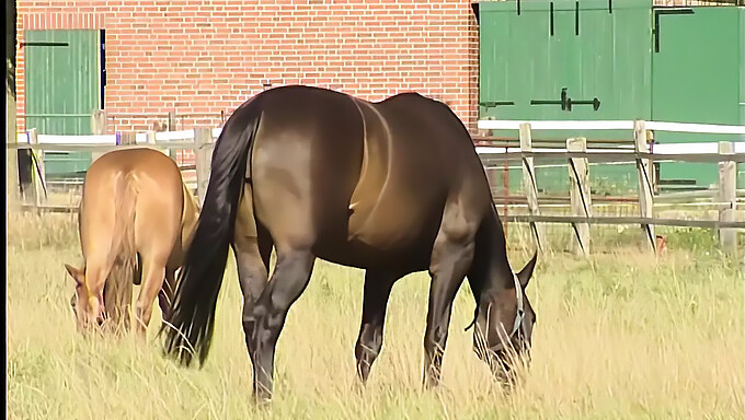 Klassisk Vintage Brunett Tonåring Med Stora Bröst Njuter Av Utomhusonani