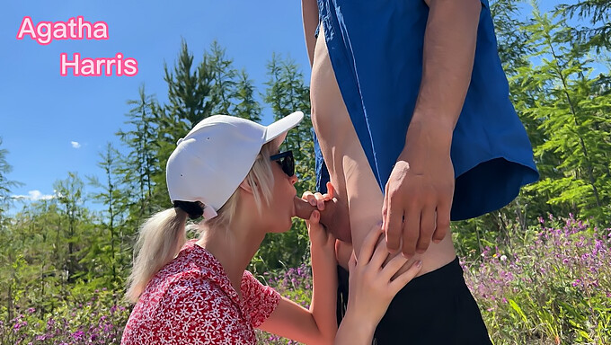 Babe Gives A Pov Blowjob To A Fan In The Park And Gets A Mouthful Of Cum